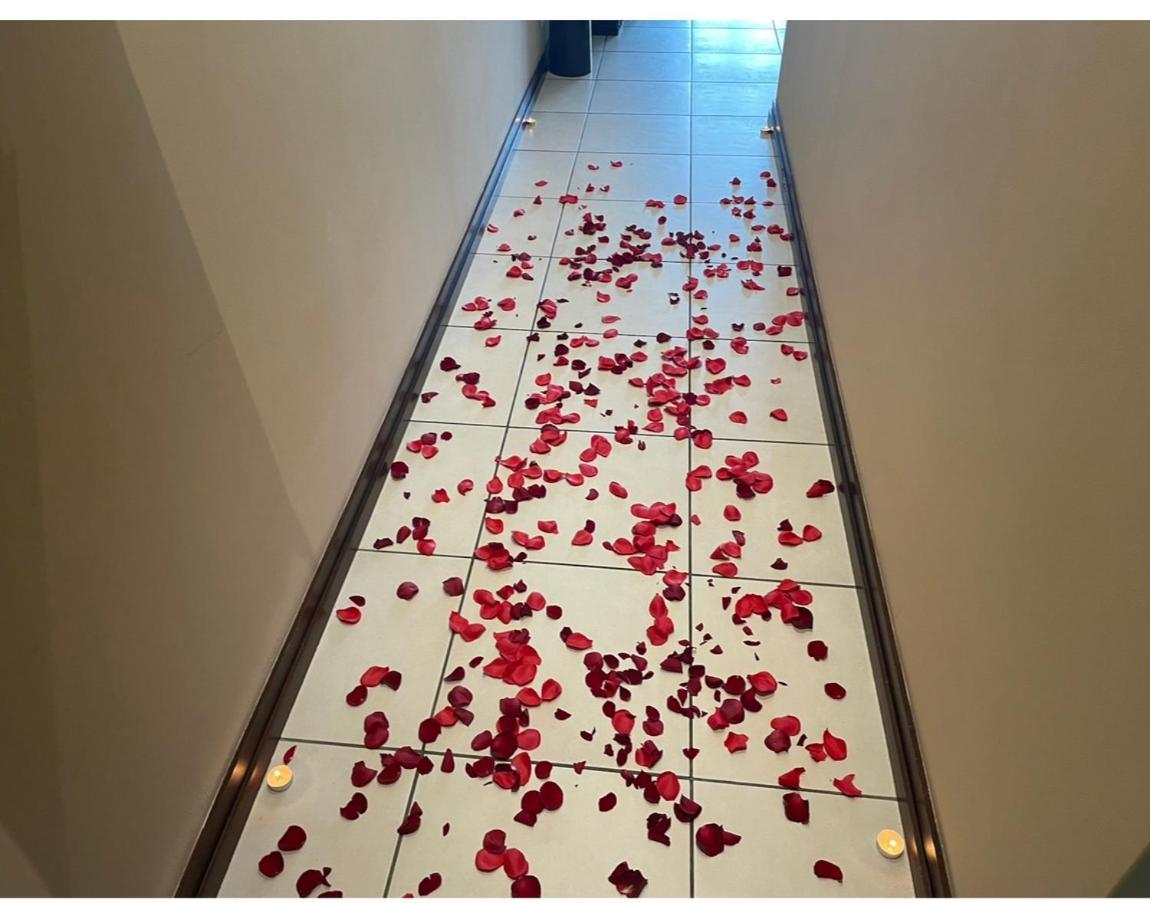 Cocoon Apartment Victoria Luaran gambar